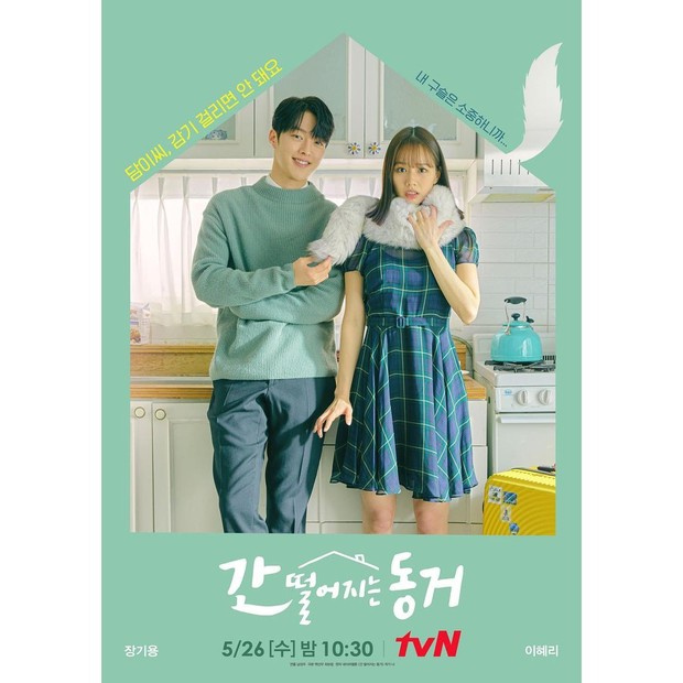 Memiliki genre fantasi-romantis, drama ini menceritakan seorang profesor Shin Woo Yeo (Jang Ki Yong) yang juga sosok gumiho berusia 999 tahun.