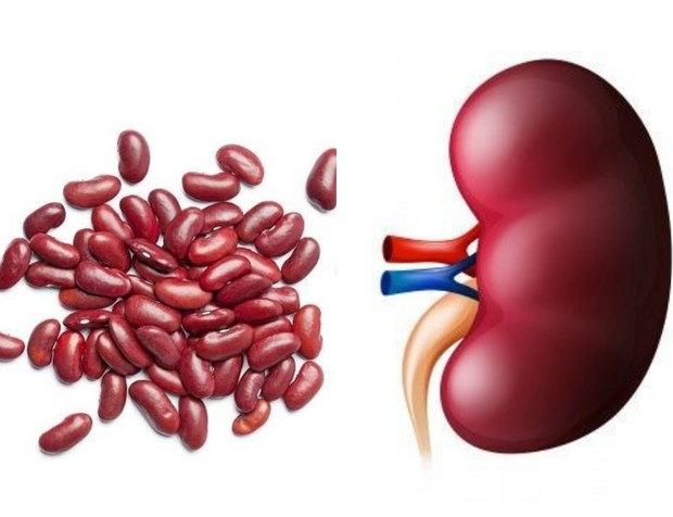 manfaat buah dan sayur untuk organ tubuh