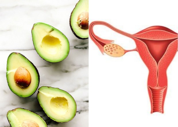 manfaat buah dan sayur untuk organ tubuh