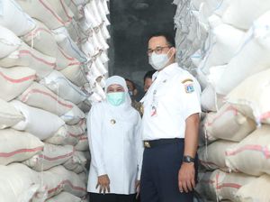 PPP Getol Usung Anies-Khofifah di Pilpres 2024, Pengamat: Duet Potensial!