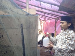 Budidaya Maggot, Ponpes di Cirebon Ini Sukses Jaga Lingkungan-Wirausaha