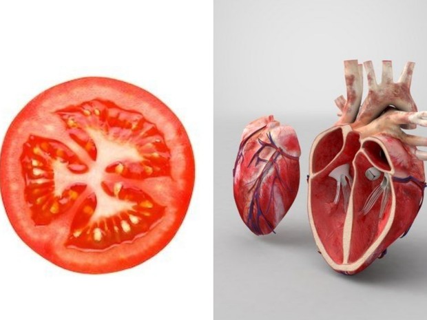 manfaat buah dan sayur bagi tubuh