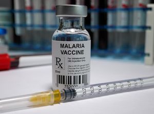 3 Fakta Vaksin Mosquirix untuk Malaria, Rekomendasi WHO yang Belum Masuk RI 3 Fakta Vaksin Mosquirix untuk Malaria, Rekomendasi WHO yang Belum Masuk RI