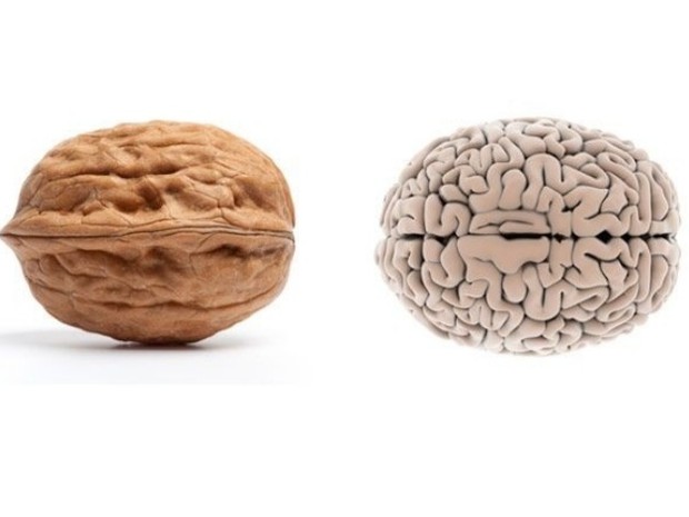 manfaat buah dan sayur untuk organ tubuh