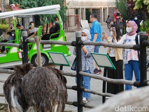Asyiknya Ngabuburit di Lembang Park and Zoo, Pengunjung: Terasa Eksklusif