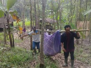 Curhat Warga Pandeglang Harus Tandu Ibu Hamil 4 Km Akibat Jalan Rusak