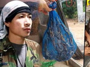 Jadi Obat di China, Thailand Sukses Jualan Cicak Kering Raup Rp 139 Juta