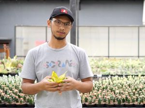 Tinggalkan Karir demi Kaktus, Pemuda Ini Raup Ratusan Juta/Bulan Tinggalkan Karir demi Kaktus, Pemuda Ini Raup Ratusan Juta/Bulan