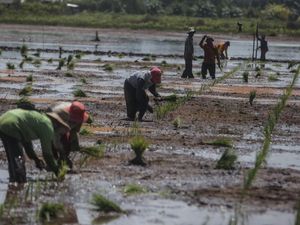 Masalah di Laut China Selatan Dinilai Bisa Ancam Ketahanan Pangan RI