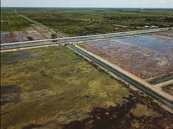 Mentan Siapkan Rp 2,3 T untuk Food Estate di 2023