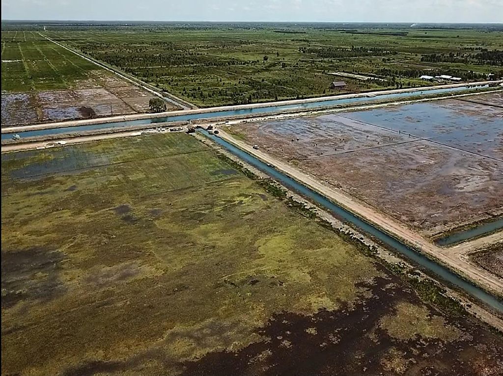 Mentan Siapkan Rp 2,3 T untuk Food Estate di 2023 Mentan Siapkan Rp 2,3 T untuk Food Estate di 2023