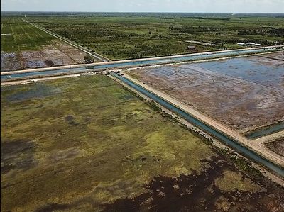 Kondisi Terkini Lumbung Pangan RI di Kalimantan Tengah