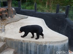 Disparbud: Kapasitas Pengunjung Wisata di Jabar Maksimal 50 Persen