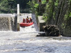 7 Sungai di Bali yang Jadi Pilihan Destinasi Wisata