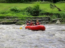 Yuk! Ngerasain Rafting Ala Barack Obama di Ubud