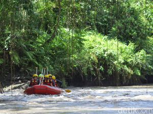Rafting Sungai Ayung yang Kian Sepi, Keseruannya Hilang