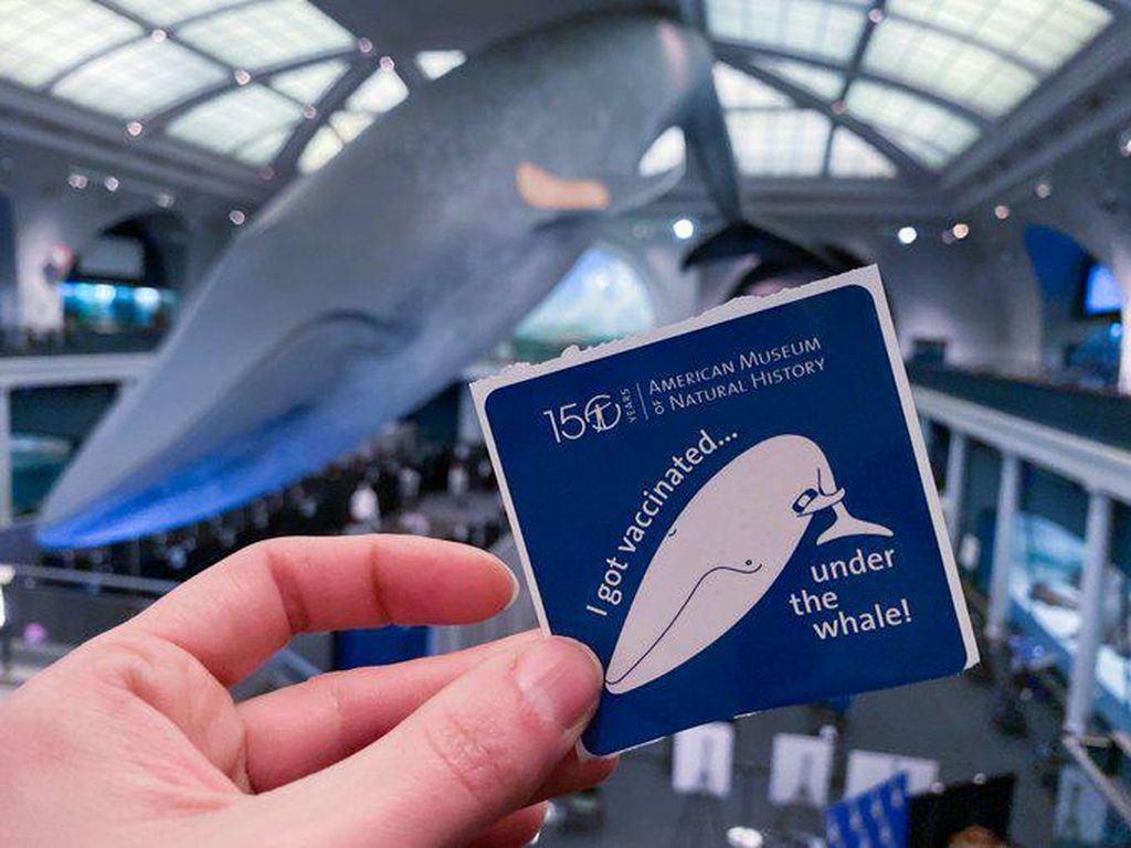 Saat Museum Sejarah Jadi Lokasi Vaksinasi, Dapat Voucher Wisata Gratis Saat Museum Sejarah Jadi Lokasi Vaksinasi, Dapat Voucher Wisata Gratis