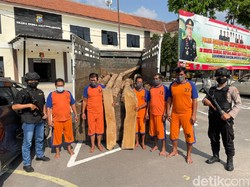 8 Orang Komplotan Pencuri 250 Batang Kayu Jati di Jombang Diringkus