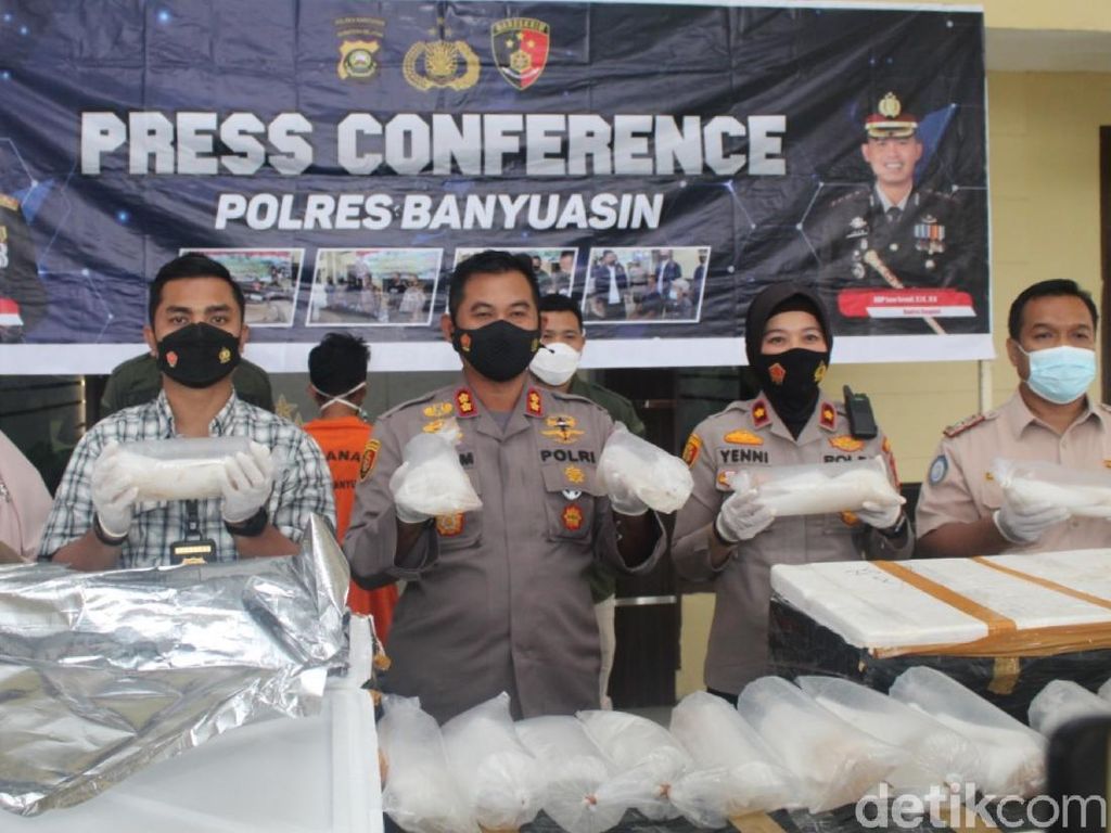 Polisi Banyuasin Gagalkan Ekspor Benih Lobster Ilegal Rp 8,9 M ke Vietnam Polisi Banyuasin Gagalkan Ekspor Benih Lobster Ilegal Rp 8,9 M ke Vietnam
