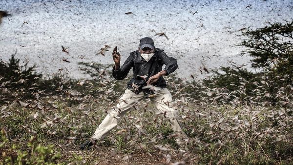 Keren! Ini Karya Jawara Sony World Photography Awards 2021