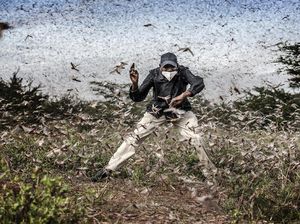 Keren! Ini Karya Jawara Sony World Photography Awards 2021