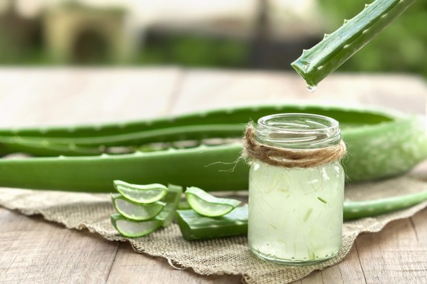 Foto: Aloe Vera/freepik.com 5 Bahan Alami Cerahkan Mata Kaki