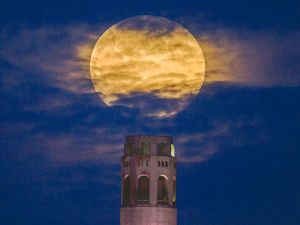 Daftar Fenomena Langit di April 2026, Ada Pink Moon dan Lainnya