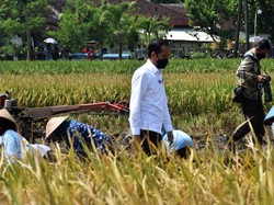 73,1% Rakyat Puas Atas Kinerja Jokowi Versi Survei Indikator