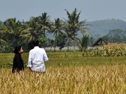 Jadi Penggerak Ekonomi, Anggaran Pertanian Diusulkan Naik