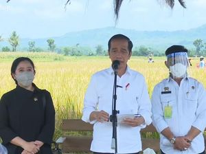 Tinjau Panen Padi di Malang, Jokowi Puji Varietas Unggul IPB-3S