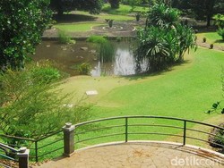 Makin Kece, Kebun Raya Bogor Revitalisasi Taman Meksiko dan Akuatik