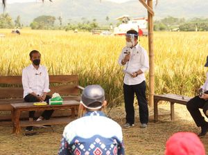 Tinjau Panen Raya Malang, Jokowi Harap Kedaulatan Pangan Bisa Diraih