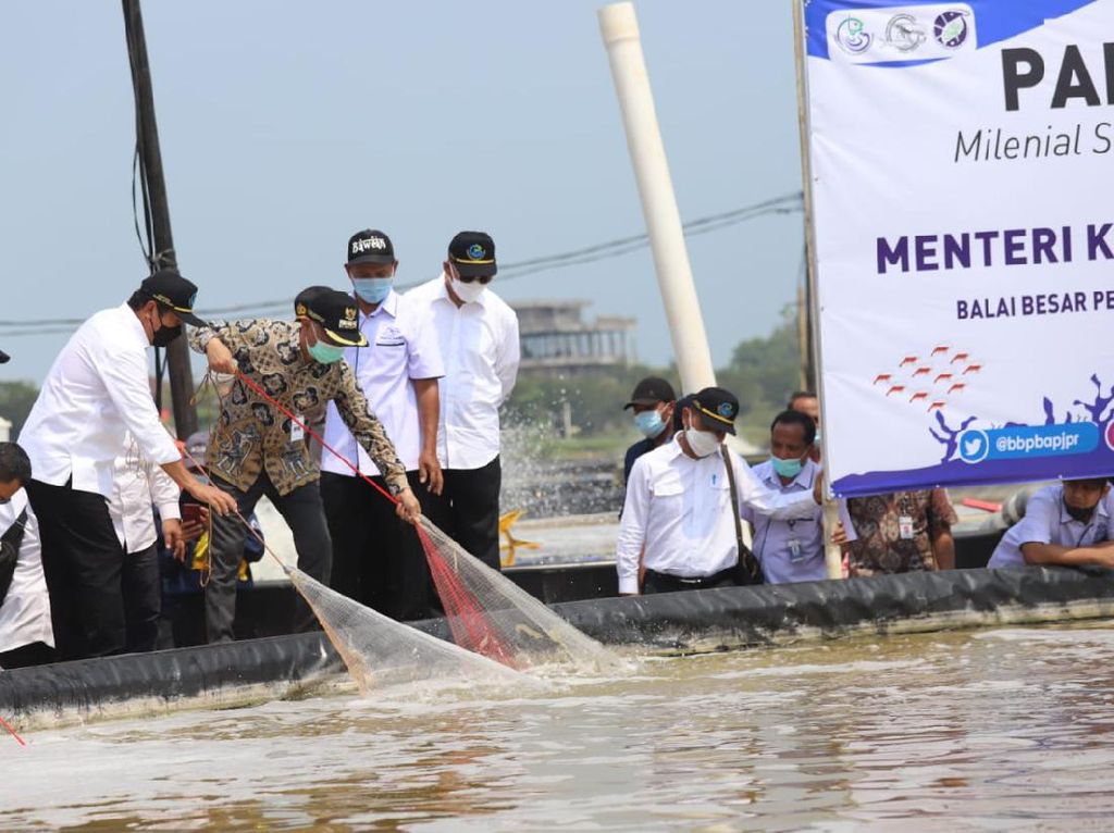 Menteri KKP Minta Milenial Kreatif Kembangkan Pakan Ikan Berkualitas Menteri KKP Minta Milenial Kreatif Kembangkan Pakan Ikan Berkualitas
