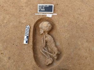 Arkeolog Mesir Temukan 110 Makam Kuno di Delta Nil Arkeolog Mesir Temukan 110 Makam Kuno di Delta Nil