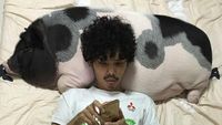 Bukan untuk Ngepet, Ini Kisah Orang-orang yang Hidup Bersama Babi