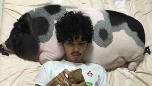 Bukan untuk Ngepet, Ini Kisah Orang-orang yang Hidup Bersama Babi