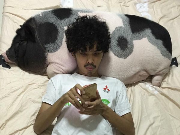 Bukan untuk Ngepet, Ini Kisah Orang-orang yang Hidup Bersama Babi