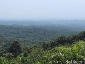 Kontroversi yang Membayangi Bukit Algoritma