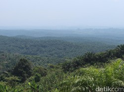 Kontroversi yang Membayangi Bukit Algoritma