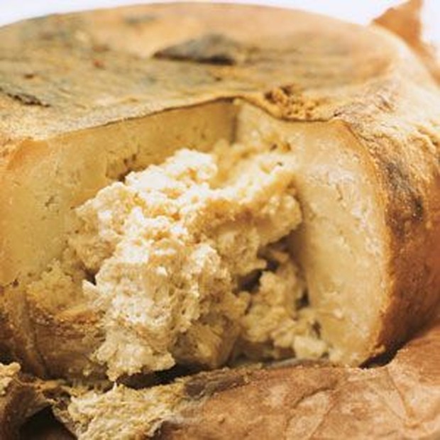 Casu Marzu/Pinterest by saver Casu Marzu