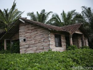 Deretan Rumah Rusak di Bakal Lokasi Bukit Algoritma