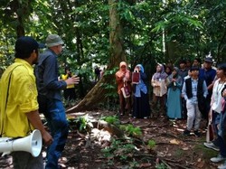 Wow! Ada Hutan 1,6 Hektare di Kampus UGM, Isinya Apa Aja Sih?