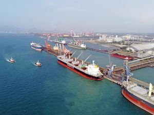 Dorong Ekspor-Impor, Anak Usaha BUMN Punya Jasa Logistik Internasional