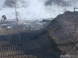 Kawah Sileri Dieng Erupsi, Warga dan Pengunjung Dilarang Mendekat