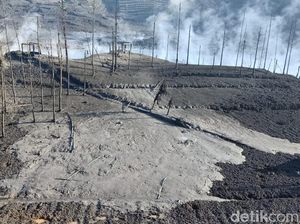 Penampakan Kerusakan di Dieng Dampak Erupsi Kawah Sileri