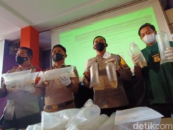 46 Ribu Benur Senilai Rp 2 Miliar Disita Polresta Bandung