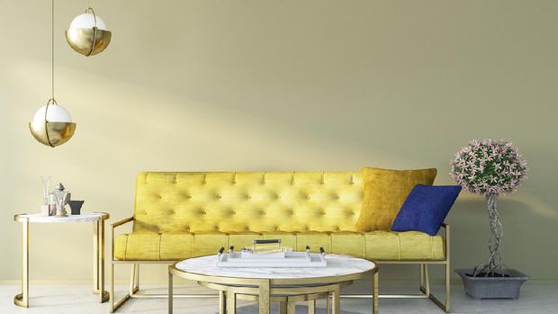 Modern living room interior with sofa