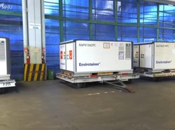 6 Juta Bulk Sinovac dan 482.400 Vaksin Sinopharm Tiba di Indonesia