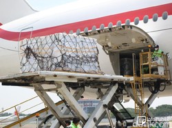 500 Ribu Vaksin Sinopharm Pemberian Uni Emirat Arab Tiba di Bandara Soetta