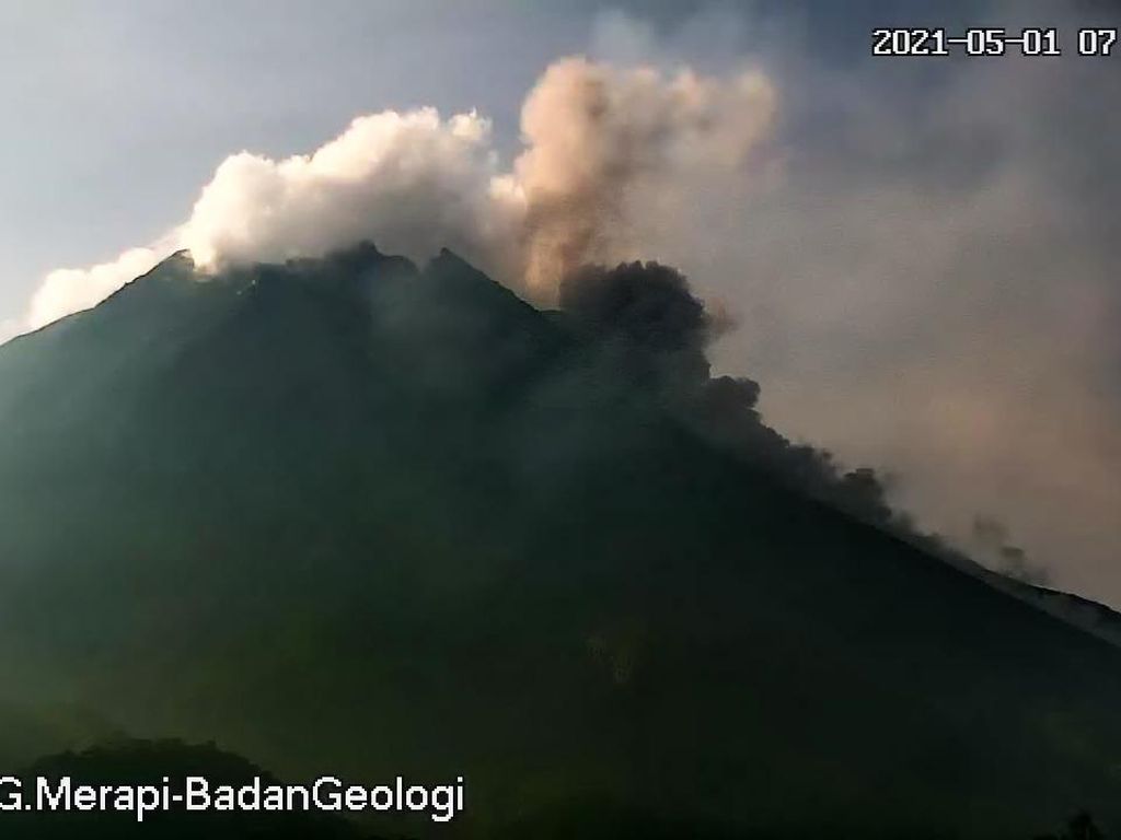 Gunung Merapi Erupsi 2 Kali, Muntahkan Awan Panas Sejauh 1,3 Km Gunung Merapi Erupsi 2 Kali, Muntahkan Awan Panas Sejauh 1,3 Km